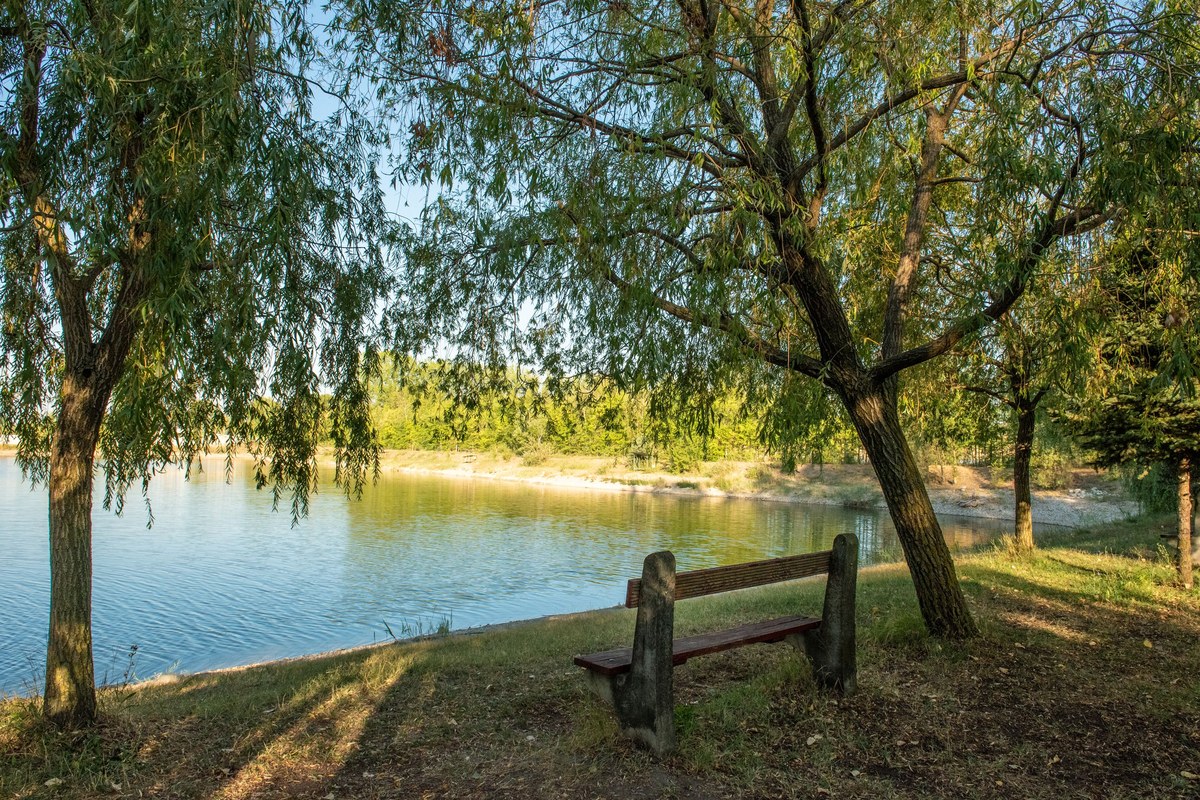 A Farmer horgásztó partja fűzfákkal és paddal a víz mellett.